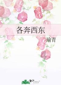 南京溧水和凤镇张家村:党员冬训聚动力,促进基层新发展